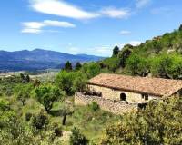 Resale - Finca - Benasau