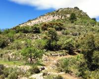 Resale - Finca - Benasau