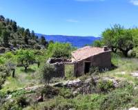 Resale - Finca - Benasau