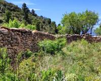 Resale - Finca - Benasau