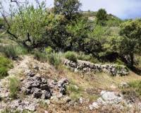 Resale - Finca - Benasau