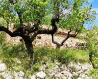 Resale - Finca - Benasau