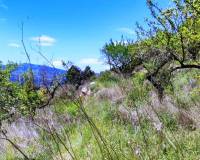 Resale - Finca - Benasau