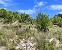 Resale - Finca - Benasau