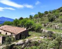 Resale - Finca - Benasau