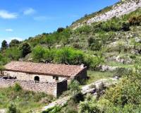 Resale - Finca - Benasau