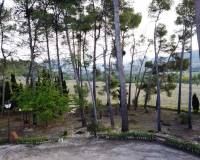 Resale - Finca - Benilloba