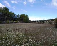 Resale - Finca - Benilloba