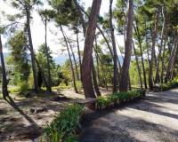 Resale - Finca - Benilloba