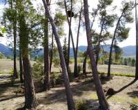 Resale - Finca - Benilloba