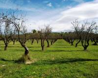 Resale - Finca - Benilloba