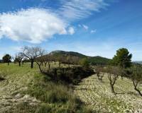 Resale - Finca - Benilloba