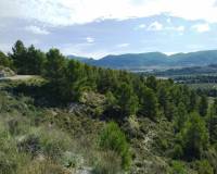 Resale - Finca - Benilloba