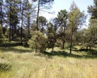 Resale - Finca - Bocairent