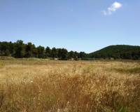 Resale - Finca - Bocairent