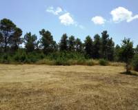 Resale - Finca - Bocairent