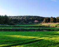 Resale - Finca - Bocairent