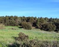 Resale - Finca - Bocairent