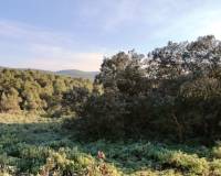 Resale - Finca - Bocairent