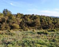 Resale - Finca - Bocairent