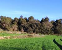 Resale - Finca - Bocairent