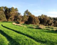 Resale - Finca - Bocairent