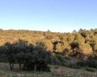 Resale - Finca - Bocairent