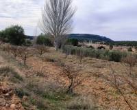 Resale - Finca - Bocairent