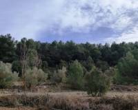 Resale - Finca - Bocairent