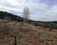 Resale - Finca - Bocairent