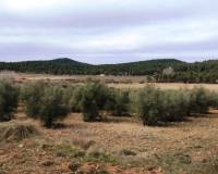 Resale - Finca - Bocairent