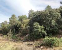 Resale - Finca - Bocairent