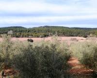 Resale - Finca - Bocairent