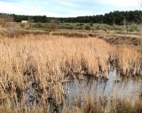 Resale - Finca - Bocairent