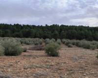Resale - Finca - Bocairent
