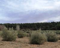 Resale - Finca - Bocairent