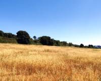 Resale - Finca - Bocairent