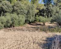Resale - Finca - Bocairent