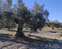 Resale - Finca - Bocairent