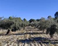 Resale - Finca - Bocairent