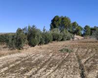 Resale - Finca - Bocairent