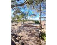 Resale - Finca / Country Property - Caudete