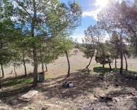 Resale - Finca / Country Property - Caudete