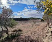 Resale - Finca / Country Property - Caudete