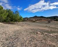 Resale - Finca / Country Property - Caudete