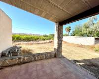 Resale - Finca / Country Property - Elche - Matola