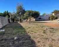 Resale - Finca / Country Property - Elche