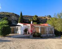 Resale - Finca - Country Property - Fortuna