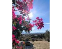 Resale - Finca - Country Property - Fortuna