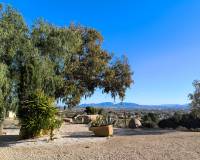 Resale - Finca - Country Property - Fortuna